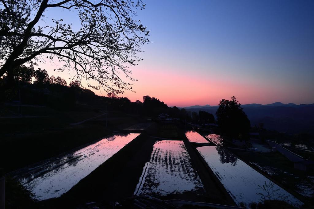 Sasayuri-Ann Villa Nara Bagian luar foto