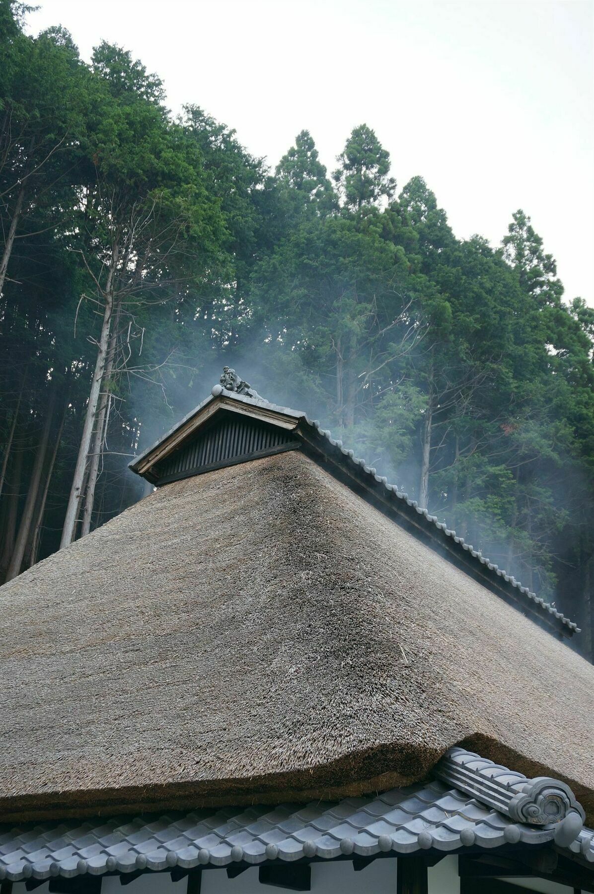 Sasayuri-Ann Villa Nara Bagian luar foto