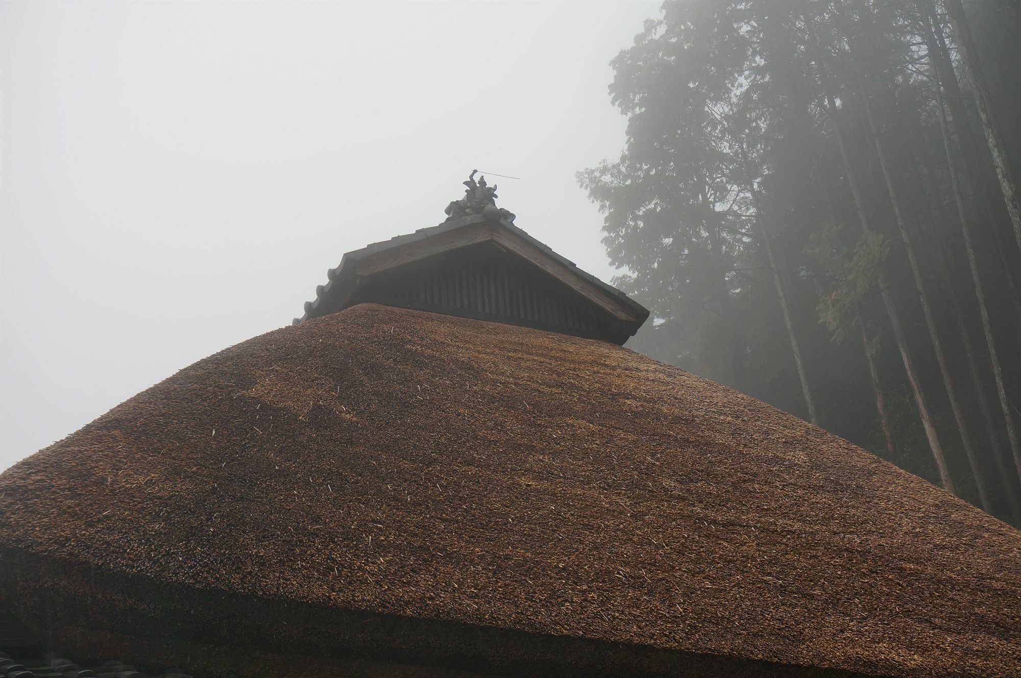 Sasayuri-Ann Villa Nara Bagian luar foto